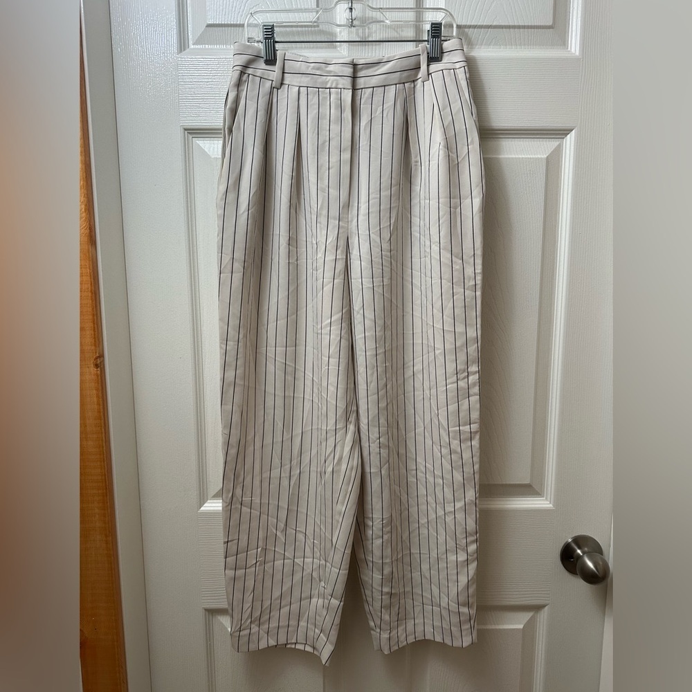 Aritzia Modesto Pants Size 4